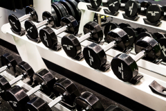 Rep1 Fitness dumbbells for personal training